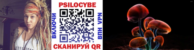 как найти закладки  Ессентукская  Псилоцибиновые грибы MAGIC MUSHROOMS 